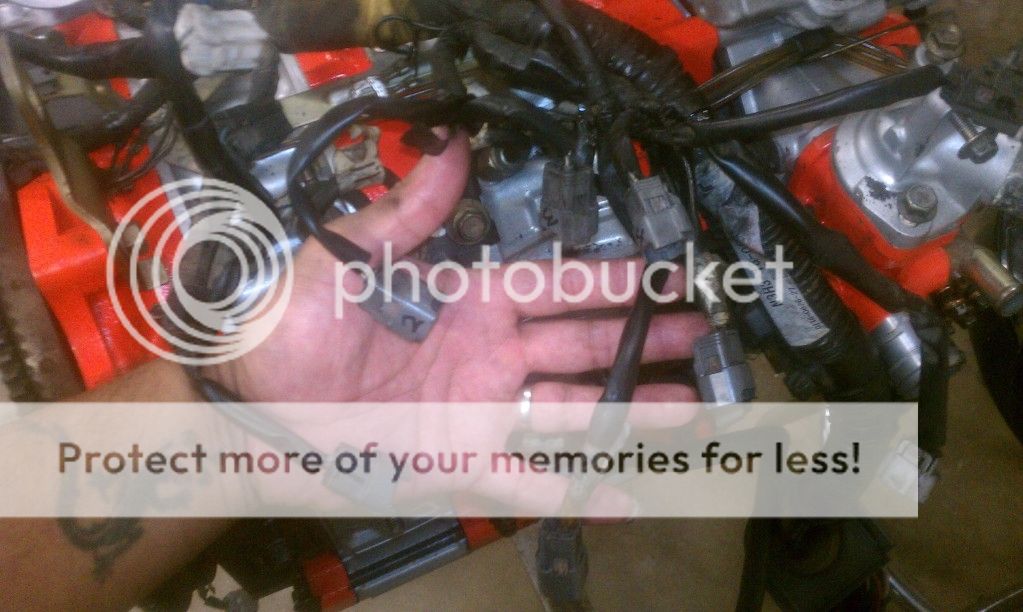 Ev14 Fuel Injector Wiring Diagram