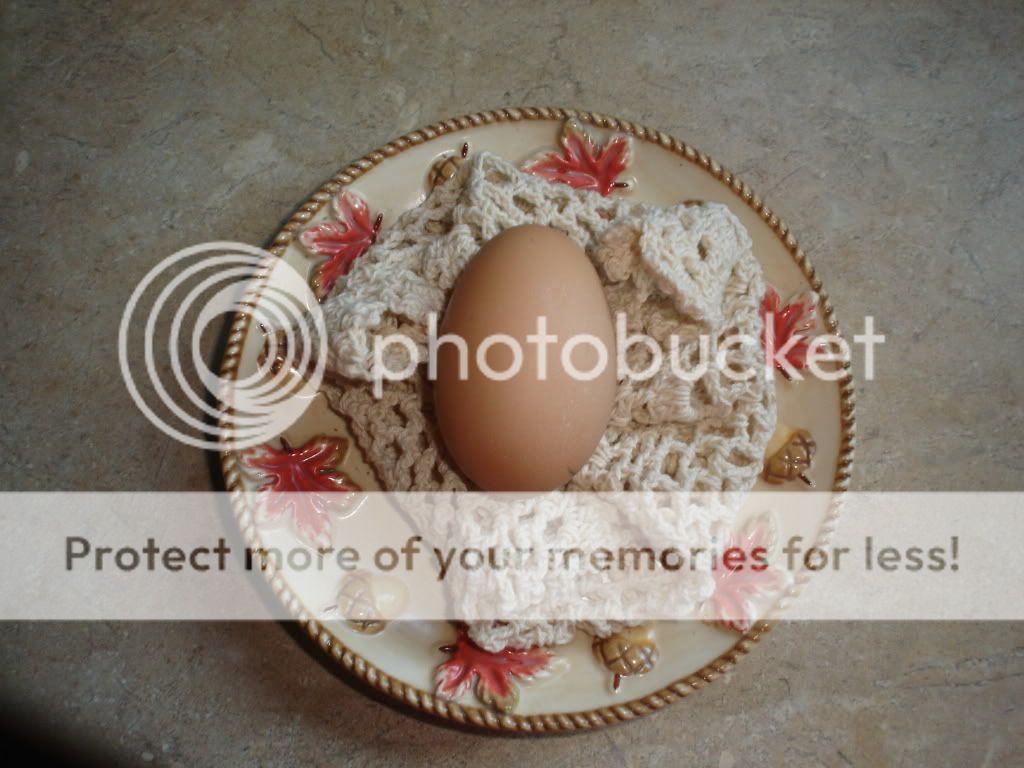 How to post pics.... - Computer Questions