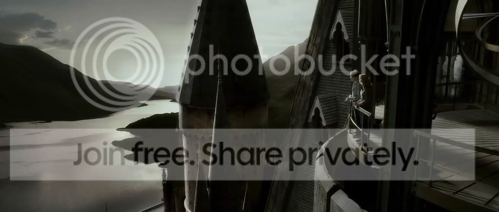 snapshot20081229160858.jpg