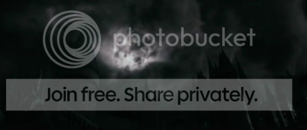 snapshot20081229161320.jpg
