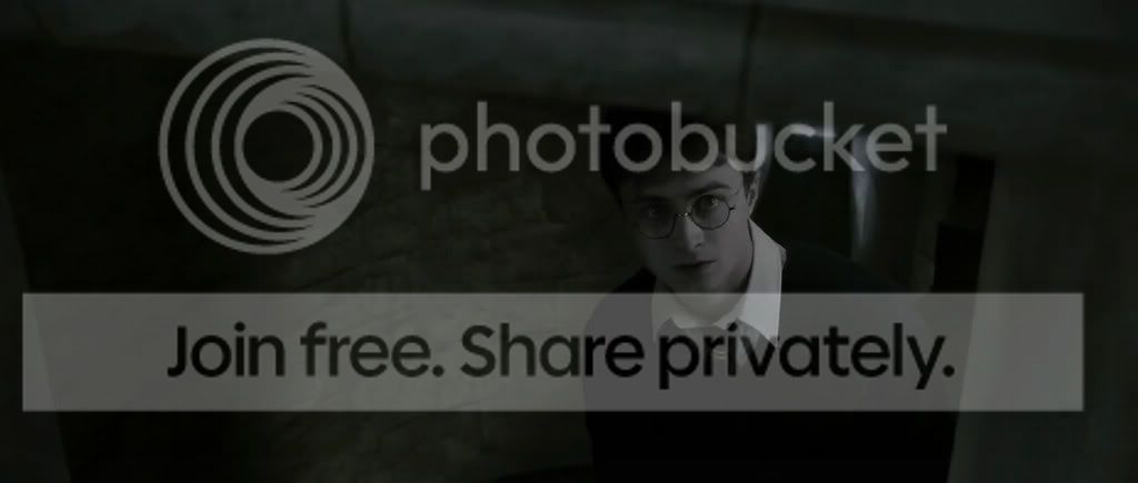 snapshot20081229161326.jpg